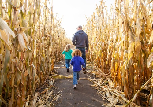 Family enjoying a corn maze and other Kids Activities near Peoria IL