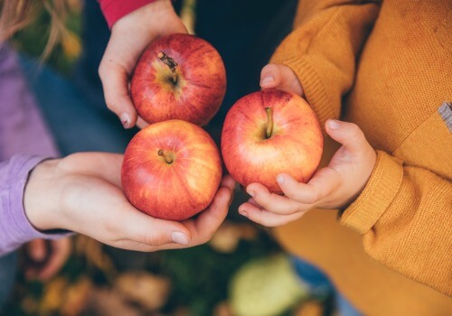 Apple Orchard Quad Cities