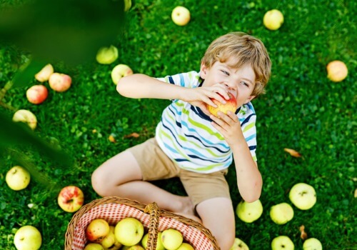 Young boy eating a freshly picked apple, as a part of things do do with kids near Peoria IL