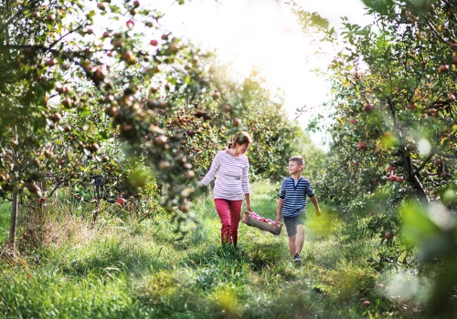 A mother and her child enjoying apple picking and other Things to do with kids near Bloomington IL