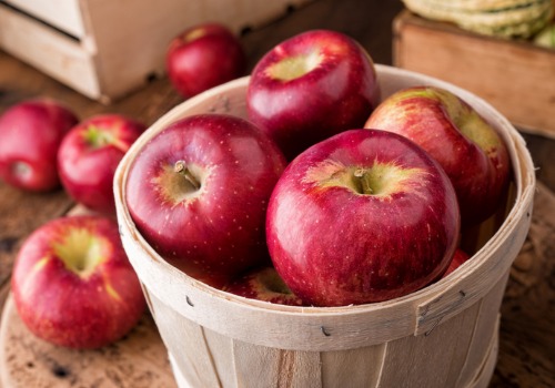 Apple Orchard Ottawa IL