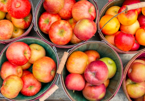 Buckets of apples at Orchards near Peoria IL