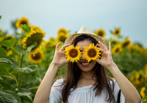 Sunflower Festival Bettendorf IA