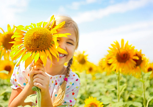 Girl Smiling While Holding a Flower from a Sunflower Festival near Rock Island IL