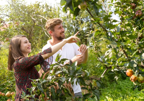 Apple Picking Bettendorf IA