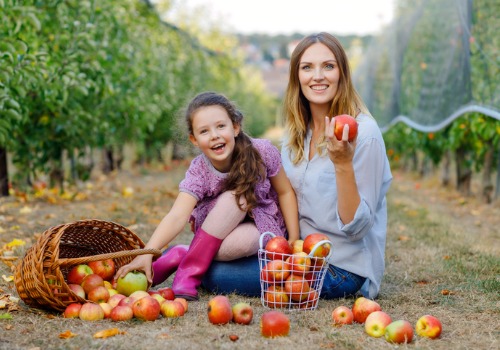 Fall Activities Davenport IA