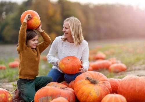 Pumpkin Patch Moline IL