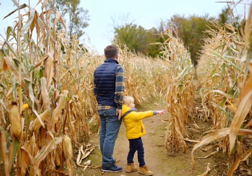 Family exploring a corn maze in Bettendorf IA