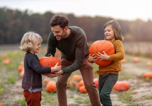 A father and his kids pick pumpkins after searching for Family Activities for Springfield IL families