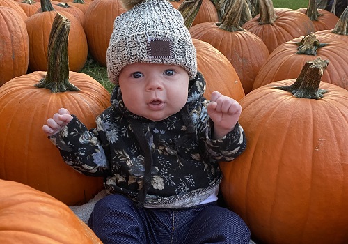 Pumpkin Patch Dunlap IL