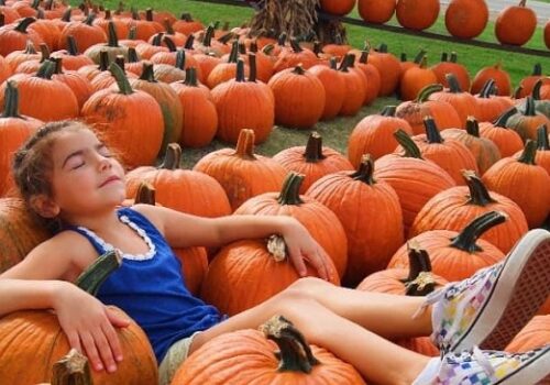 A child lies across a patch of pumpkins after visiting Tanners Orchard, an Apple Orchard for Aurora IL residents