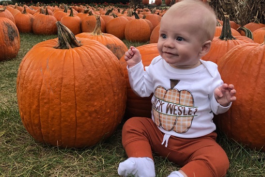 A baby sits among Tanners Orchards U-Pick pumpkins, which is available along with Apple Picking for Aurora IL residents