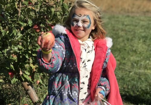Apple Picking Farm Aurora IL