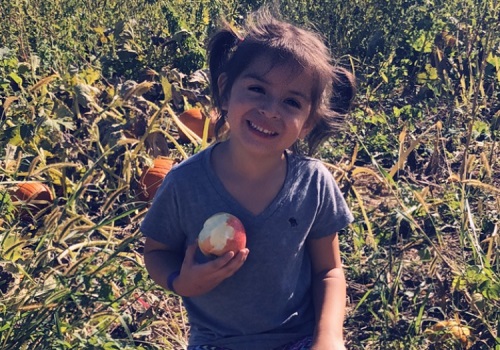 A little girl smiles at the camera with a half eaten apple in her hand. Tanner's Orchard offers U-Pick apples as well as a Sunflower Festival for Dunlap IL residents.
