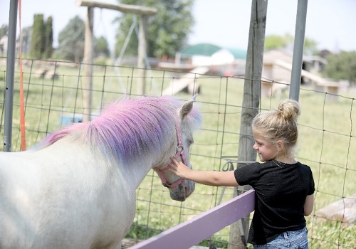 Little girl petting unicorn at Tanners Orchard