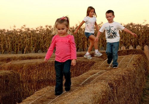 Children walk on top of hay bails at Tanners Orchard, an unforgettable Event Venue by Dunlap IL