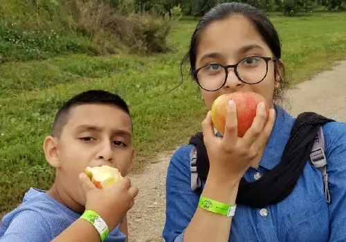 Best Apple Picking Bloomington IL