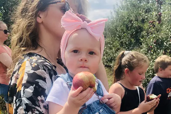 Apple Picking Princeton IL