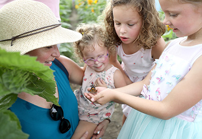 Butterfly and Ladybug Release Breakfast 