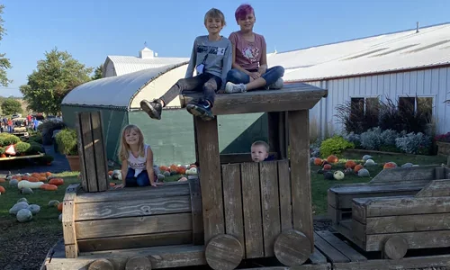 Fun Fall Activities