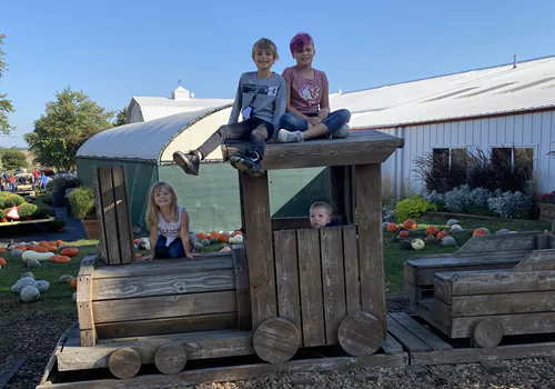Fun Fall Activities