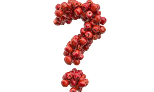 Why We Love Apples: 5 Fun Apple Facts!