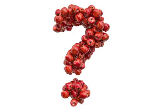 Why We Love Apples: 5 Fun Apple Facts!