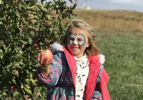 Health Benefits of Apples