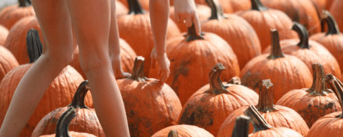 Two girls picking out which pumpkins to take home from Tanners Orchard