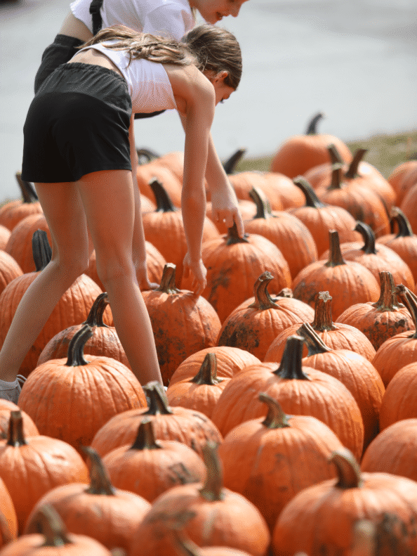 Two girls picking out which pumpkins to take home from Tanners Orchard
