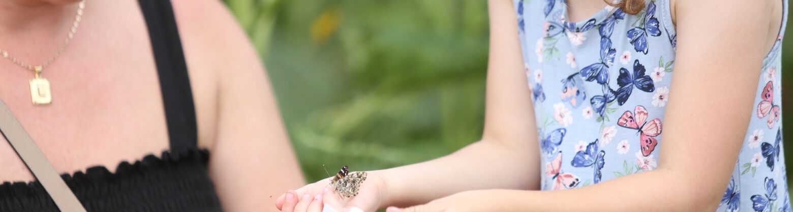 A little girl helping release butterflies during the Butterfly & Ladybug Release Breakfast at Tanners Orchard
