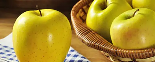 Golden Delicious  