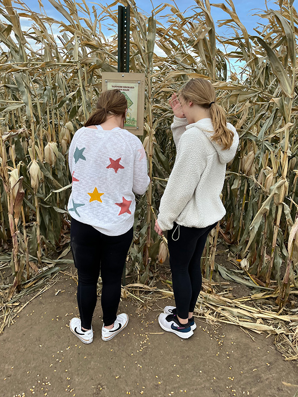 Corn Maze